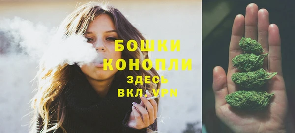 гашик Няндома