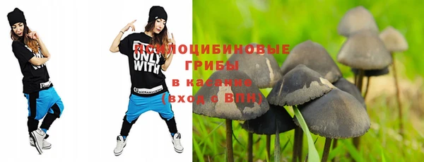 прущий лед Аркадак