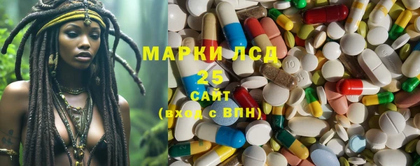 прущие грибы Арсеньев