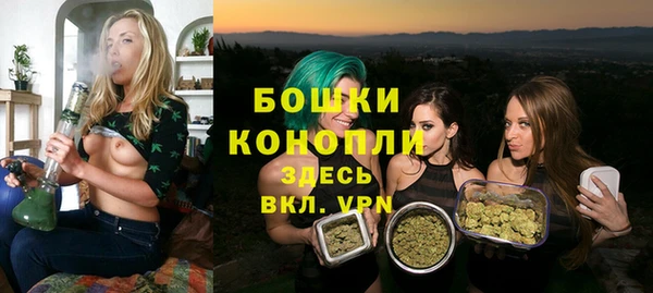 прущие грибы Арсеньев