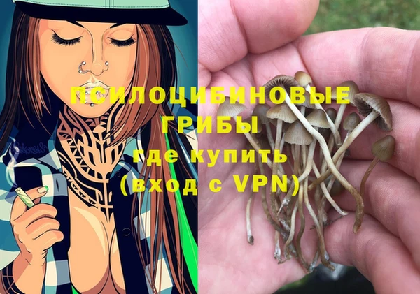 прущие грибы Арсеньев