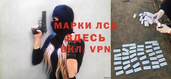 прущие грибы Арсеньев