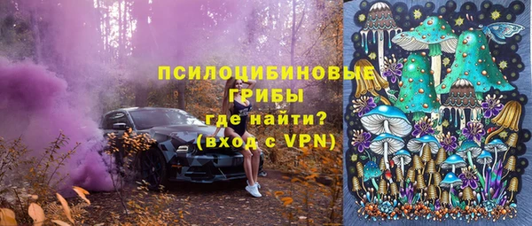 прущие грибы Арсеньев