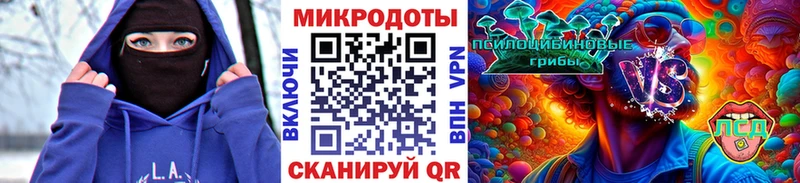 где купить наркотик  Закаменск  Галлюциногенные грибы мицелий 